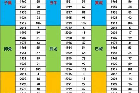 1955年生肖五行